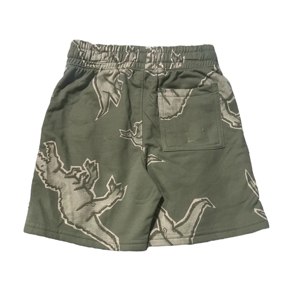 Green Dinosaur Print Elastic Waist Shorts